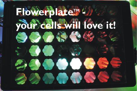 Flowerplate Cells will love it