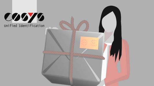COSYS Paketshop Software