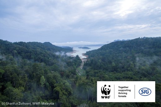 SIG - WWF project Malaysia - rgb.jpg