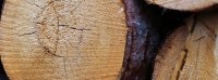 ANLEIHEN-Woche #KW43 – 2024: WeGrow, Neue ZWL Zahnradwerk Leipzig, UBM, Veganz, NWI, Mutares, Deutsche Rohstoff, Pferdewetten, Solardach, The Grounds, …