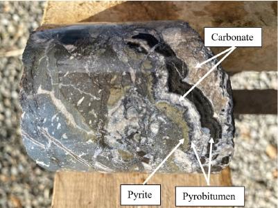 Photo of core from hole YW-008 of a banded vein in lava. The vein has pyrite at its margin, lined with a thin layer of dark pyrobitumen, then carbonate, a thick band of pyrobitumen, with the core of the vein being filled with carbonate