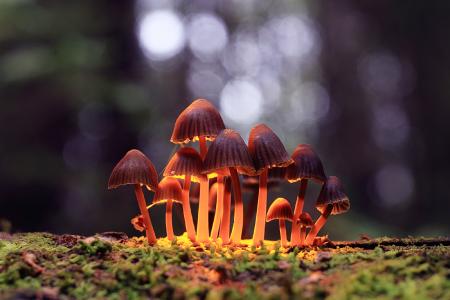 Quelle: Depositphotos