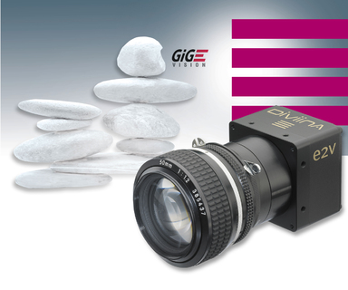 Machine-Vision Line-Scan-Cameras with GigE-Vision-Interface - Low-Cost DiViiNA-LM1