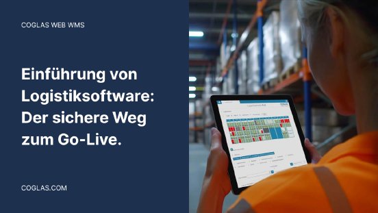 Logistiksoftware Implementierung - Sichere Weg zum GoLive v1.png