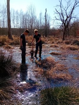 2025-03-06_Azubi-Baumpflanzen_ (2).JPG