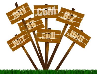 Domains are the crucial issue of website marketing
