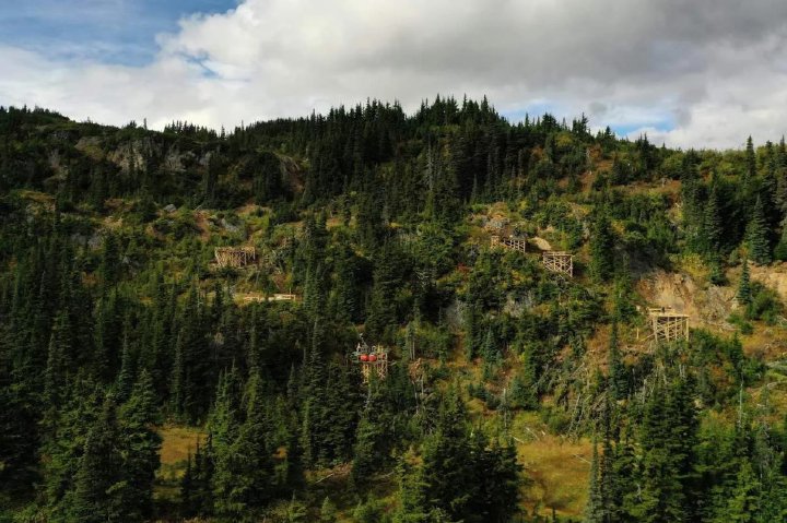 Don't count your chickens before they hatch – Silver