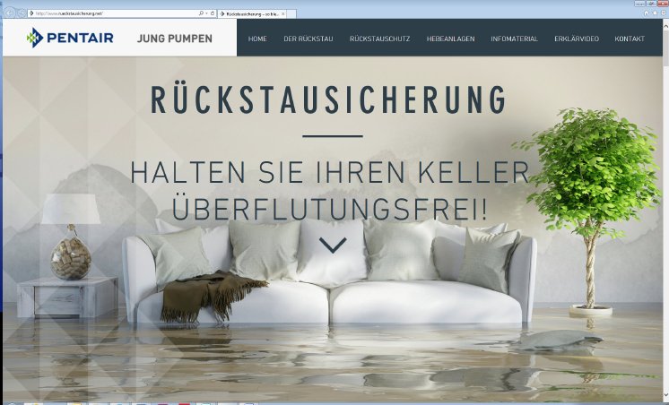 Bild 1_Webseite Rueckstau.jpg