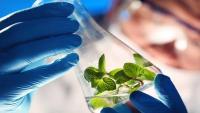 Is Plant-based Biologics Market Trapped Between Growth Expectations And Uncertainty?
