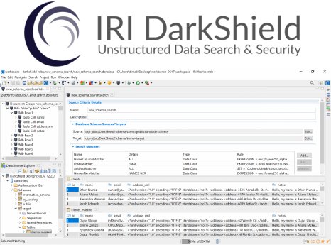 DarkShield für die Suche und den Schutz von Dark Data.PNG