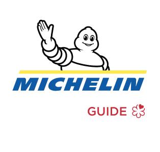 Michelin Logo Guide