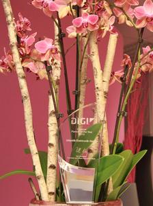 Digi verleiht Atlantik Elketronik den Award
