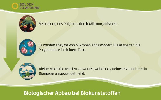250116 abbau_2 Kopie_pressebox .png