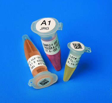 pg 8 vials  tubes D.jpg