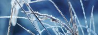 ANLEIHEN-Woche #KW8 – 2026: ABO Energy, Deutsche Rohstoff, HMS Bergbau, Iute Group, Energiekontor, DEAG, Mutares, PNE, …