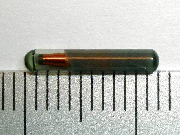 12mm LF glass transponder from TI RFID.jpg