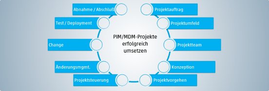 PIM-MDM-Projekte erfolgreich umsetzen.png