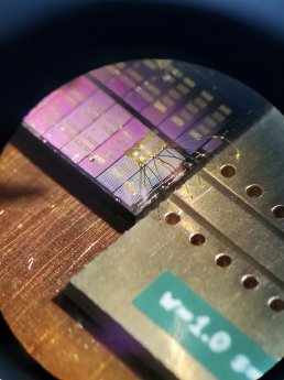 MIG_Fonds_NcodiN_Chip.png