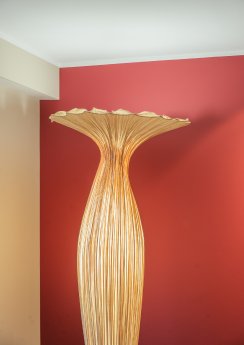 Foto 11.jpg