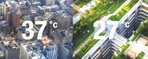 Kühle Städte - Gesunde Luft - Erhöhte Lebensqualität - Weniger Energiekosten.jpg