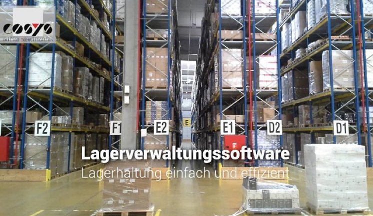 cosys-warehouse-management-software.jpg