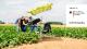 A Successful Cooperation against Plant Diseases