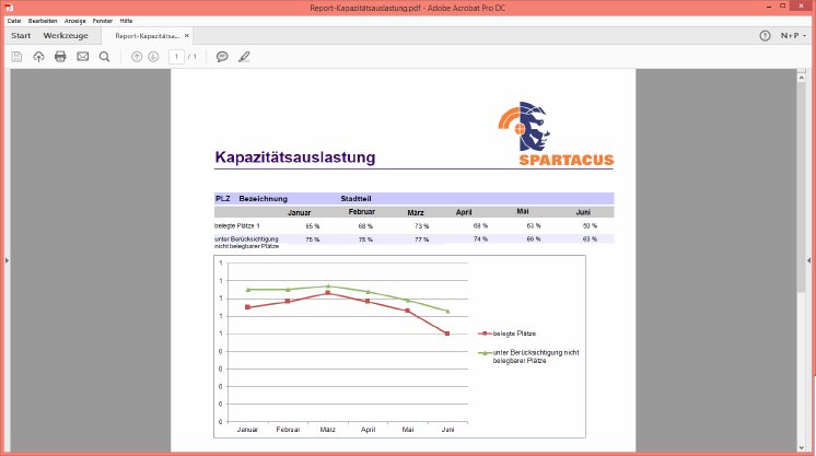 SPARTACUS-Report-Kapazitätsauslastung.PNG