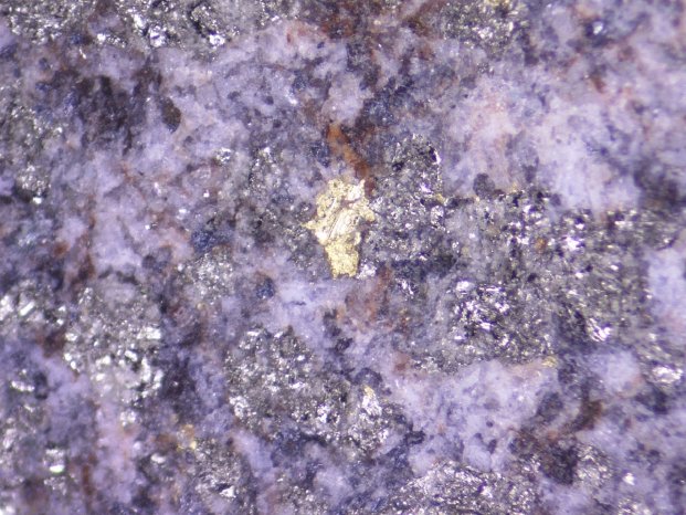 Goldshore Resources - Visible gold flake within a quartz-carbonate-pyrite vein at 190_42m 1_6m_.jpg