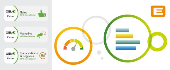 Qlik Specilization