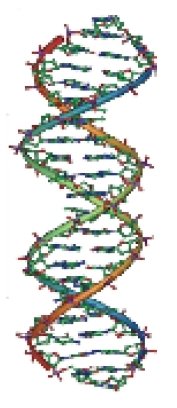 DNA Matching.jpg
