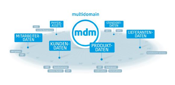 Multidomain Master Data Management Grafik