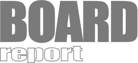 BoardReport Logo Dr Wuertele Information