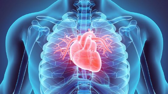 3D-illustration-of-Heart,-medical-concept.-530199842_7000x6000.jpg