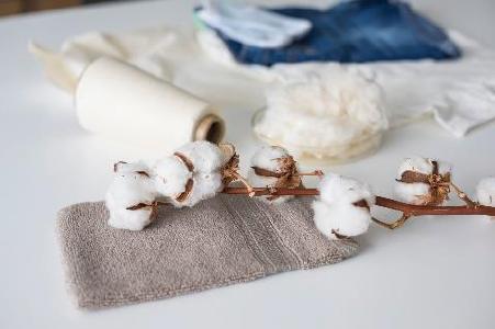 Speziell für Baumwollprodukte hat Hohenstein molekularbiologische Detektionssysteme entwickelt. Es deckt alle Aspekte der Lieferkette ab, von der Rohbaumwolle über Garne und Gewebe bis hin zu Endprodukten. Hersteller, Marken, Zertifizierer und Verbraucherschutzorganisationen erhalten klare Ja/Nein-Ergebnisse für gentechnikfreie Baumwollprodukte / © Hohenstein