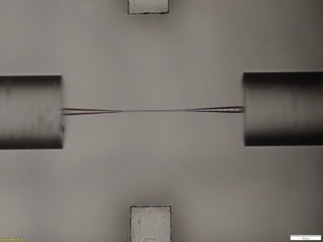 Optical fibers linked with a photonic wire bond_Fraunhofer_IZM.png
