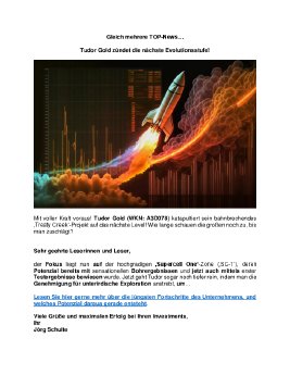 Tudor Gold Februar 2025_final_cut.pdf