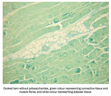 Cooked ham without polysaccharides, green colour representing connective tissue and muscle fibres, and white colour representing adipose tissue
