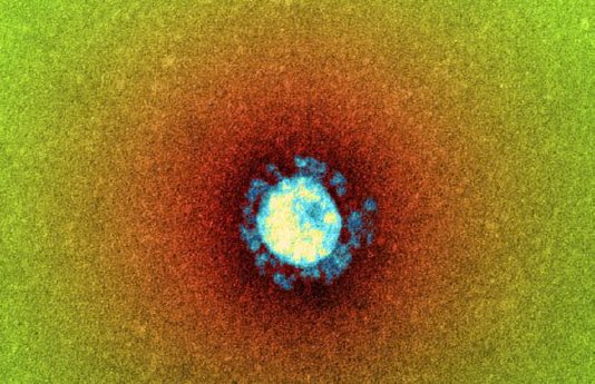 coronavirus-variante-boller.jpg