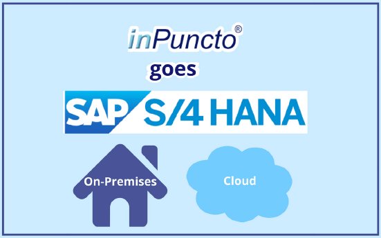 inPuncto goes SAP S4 HANA.jpg