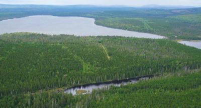 Kluthe forstet auf.
Firmeneigenen Kluthe-Wald, welcher sich über 40 Quadratkilometer – entspricht 4.000 Hektar – erstreckt.