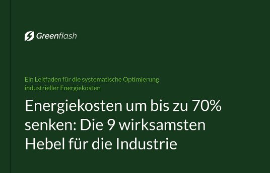 Greenflash-Leitfaden-9-Hebel-rgb-quer.jpg