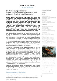 2013_06_03_PM NC-Clustering_Ameisen_fertig.pdf