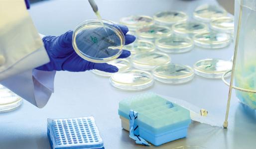 Entwicklung eines minutenschnellen Keimdetektionssystems / Copyright: BioPark Regensburg GmbH / snapshot film