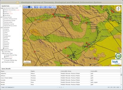 GMIS Tanzania web portal