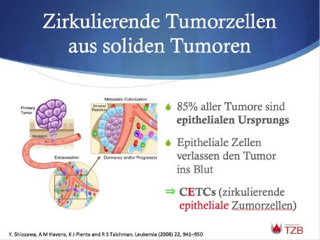 zirkulierende+epitheliale+tumor+zellen+im+blut.jpg