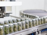 Informationspflicht im Konsumcannabisgesetz (KCanG): Was Produzenten über die Kennzeichnung jetzt wissen müssen