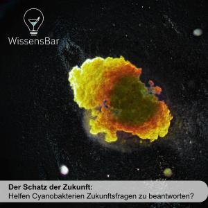 Cyanobakterien, Autor Dr. Patrick Jung