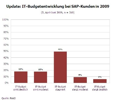 Grafik_IT-Budget 2009.jpg