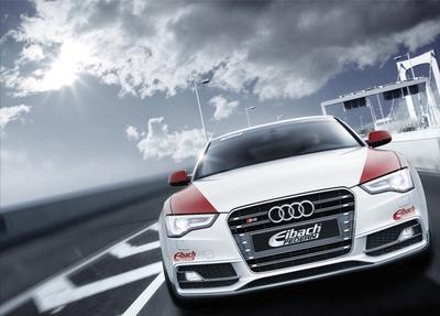 Eibach Audi S5 front bridge