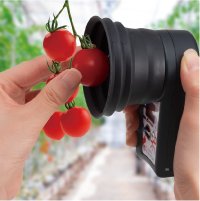 Atago_Hikari_Tomaten.png